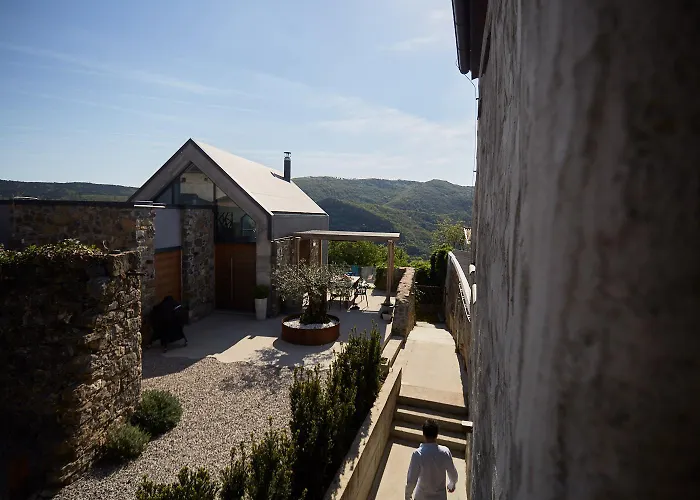 Mravljevi Weinderer *