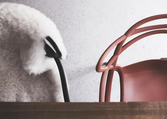 别墅 Mravljevi Weinderer